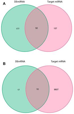 Predicting protective gene biomarker of acute coronary syndrome by the circRNA-associated competitive endogenous RNA regulatory network